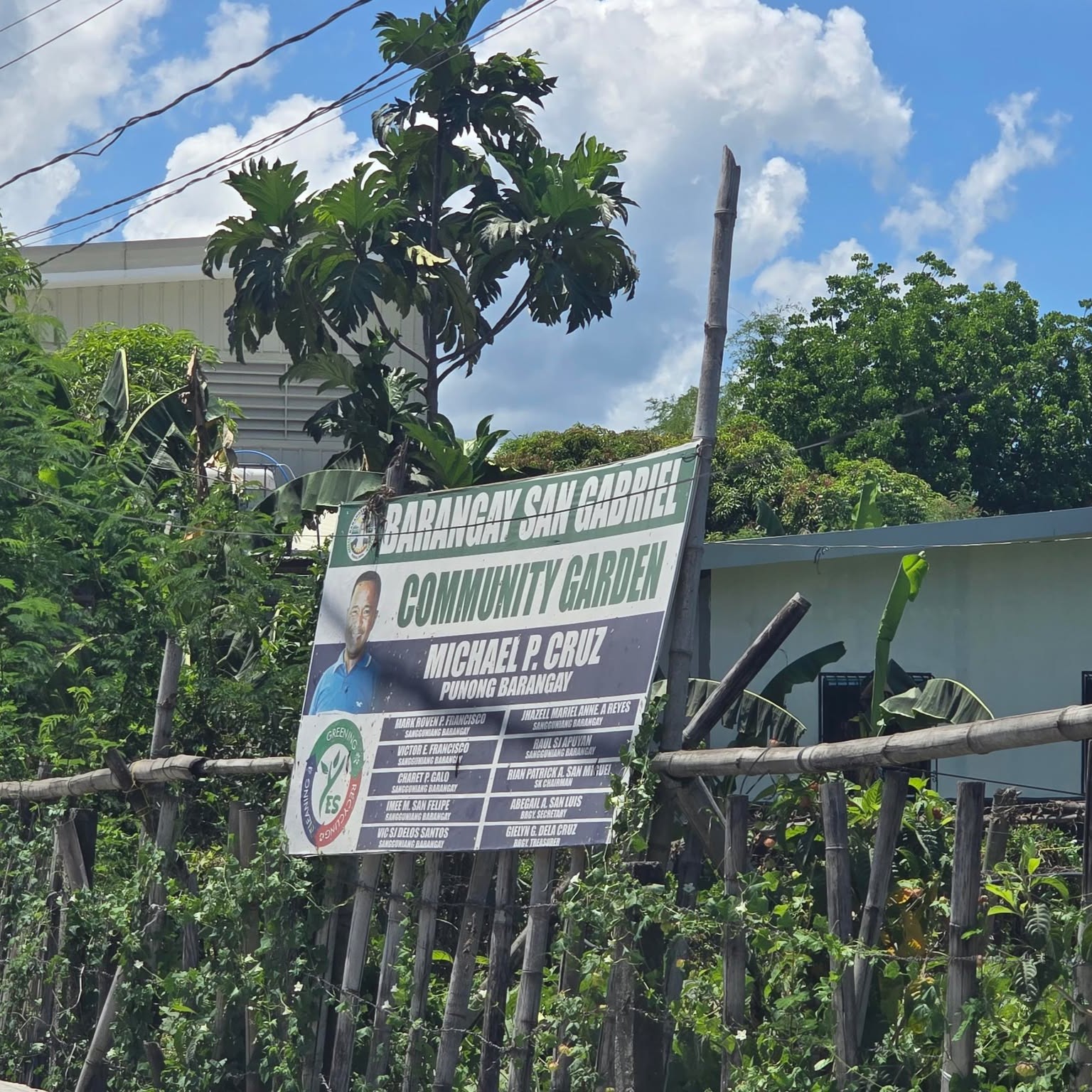 San Gabriel: Community Garden
 