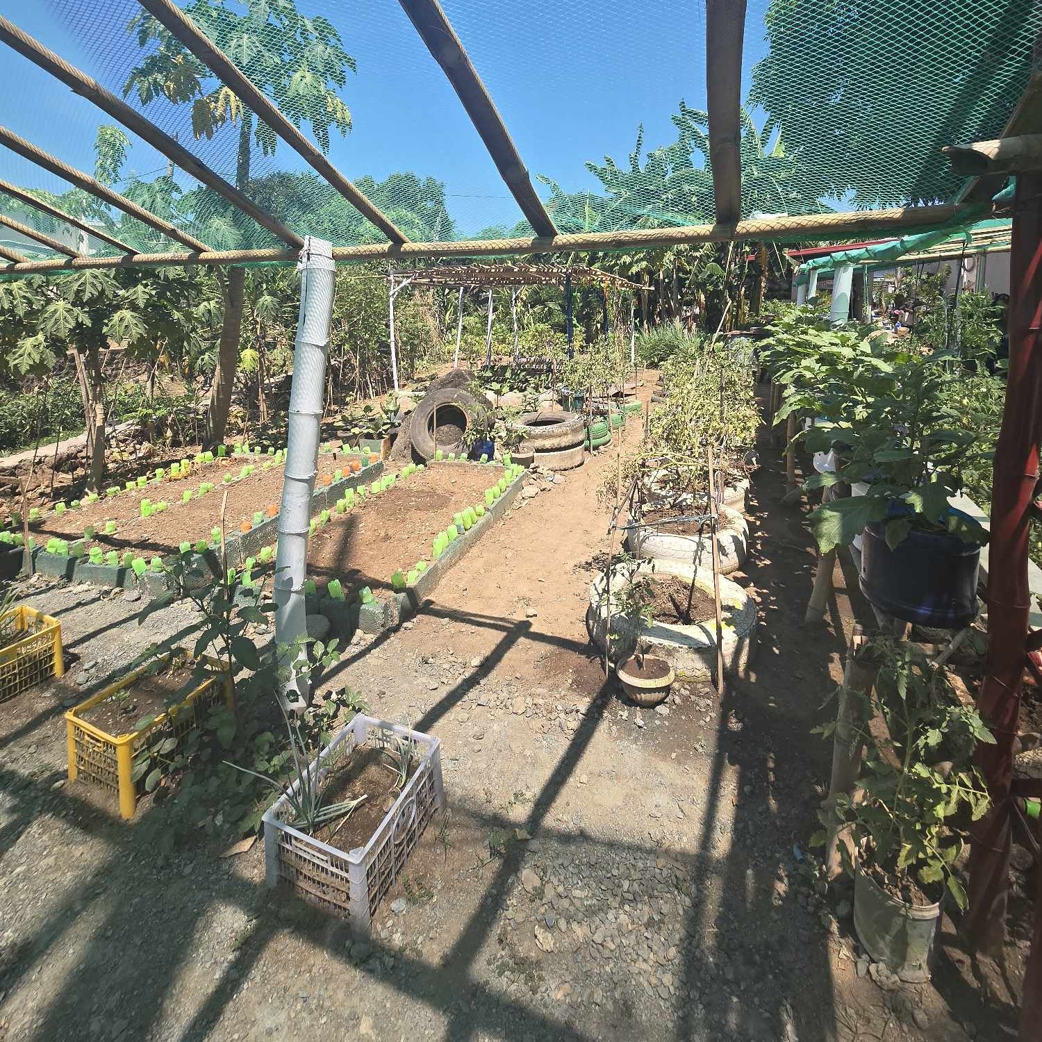 Dulumbayan: Communal Garden 
 